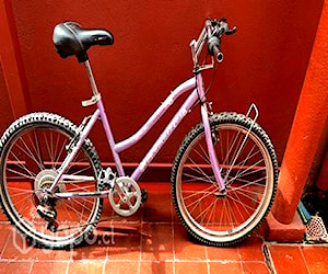 Bicicleta Oxford Aro 24