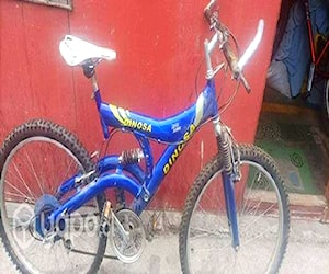 Bicicleta Dinosa