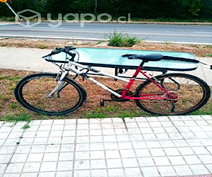 Bicicleta de paseo