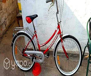 Bicicleta paseo