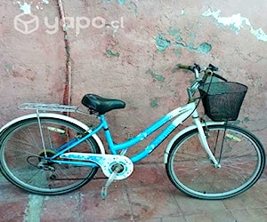 Bicicleta de paseo