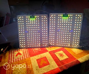 Paneles led para cultivo