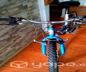 Bicicleta GAMEIDA