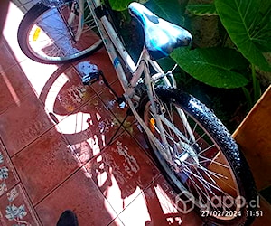 Bicicleta un solo uso