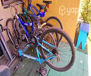 3 bicicletas de paseo