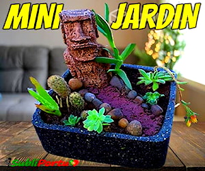 Mini Jardin O Jardin Interio 9 Plantas, Moai Macet