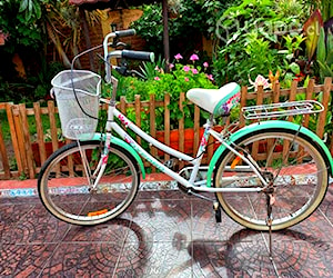 Bicicleta usada para Dama oxford ciclotour aro 20