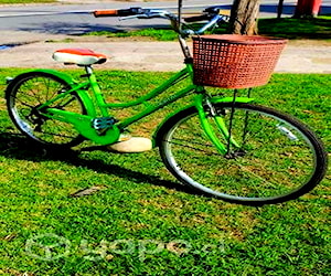 Bicicleta mujer adulto marca orbital