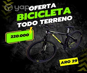 Bicicleta MTB aro 29 con 21 velociades