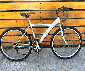 Bicicleta Fratta gris aro 26