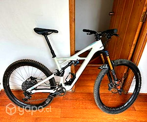 Specialized enduro elite