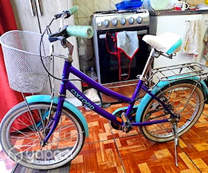 Bicicleta niña aro 22