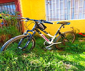 Bicicleta de paseo aro 26