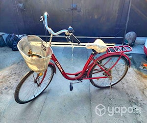 Bicicleta mujer