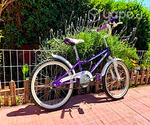 Bicicleta niña