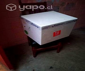 Caja de plumavit