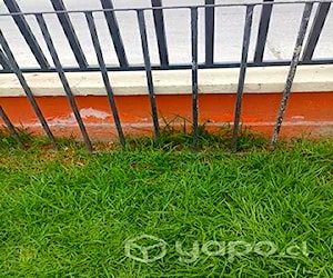 Rejas 80 x 20 metros aproximadamente