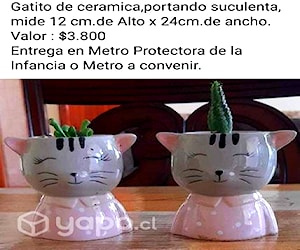 Maceta Especial Gatito de Ceramica