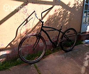 Bicicleta paseo