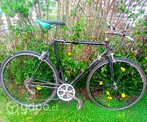 Bicicleta aro 28 con cambio trasero