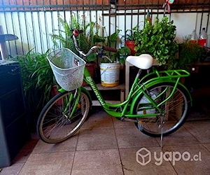 Bicicleta de paseo color verde
