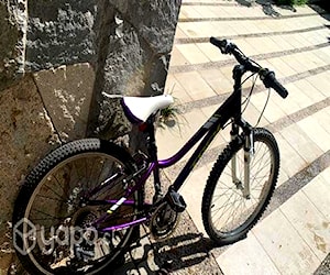 Mountain bike trex aro 24