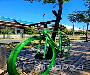 Bicicleta pistera