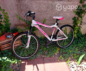 Bicicleta besatti aro 24