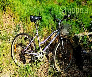 Bicicleta Oxford Onix aro 24