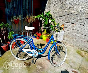 Bicicleta de paseo