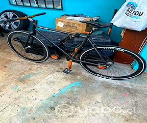 Bicicleta freno torpedo