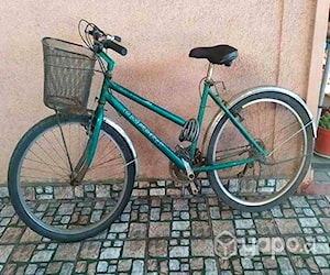 Bicicleta oxford