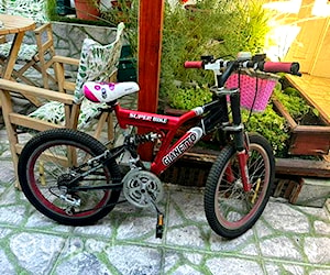 Bicicleta niña o niño. Aro 20