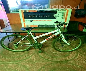Bicicleta Bianchi Specialiced