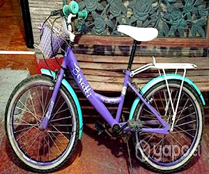 Bicicletas aro 20 y 26