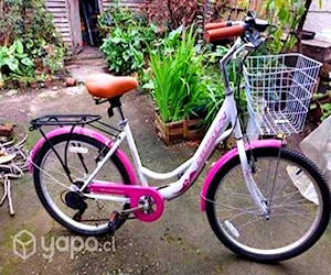 Bicicleta aro 24