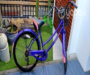Bicicleta Oxford de paseo aro 26