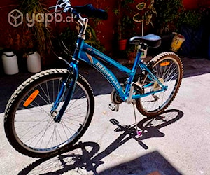 Bicicleta Bianchi Classic 24