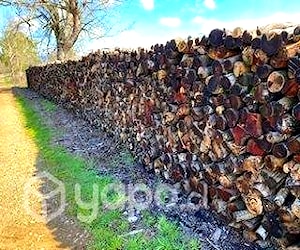 Leña por metro puesta en campo (600n3 totales)