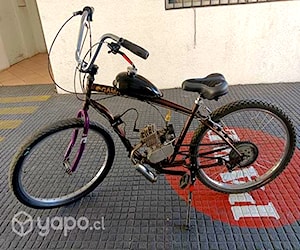 Bici mosquito