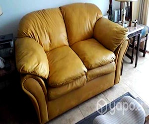 <p>Elegante sofa 2 cuerpos,</p>