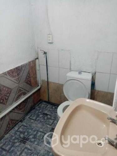 Imagen de galería