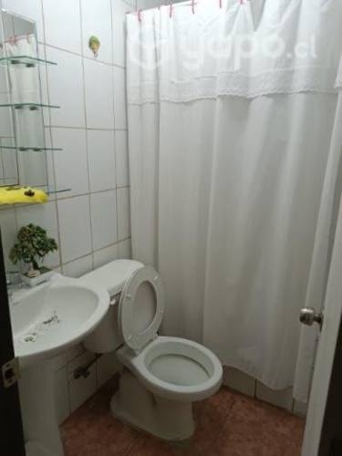 Imagen de galería