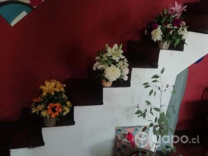 Imagen de galería