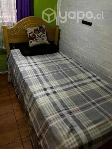 <p>Pieza Estudiantes y Profesionales</p> image