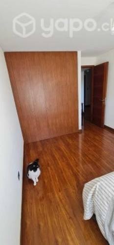 Imagen de galería