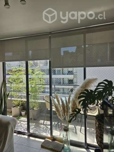 Imagen de galería