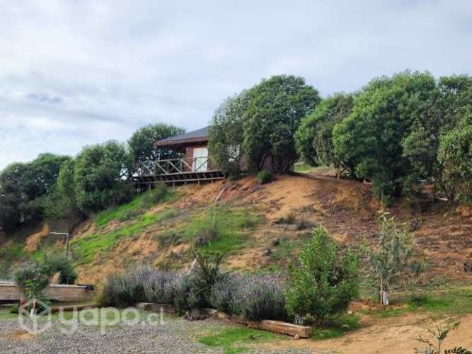 Arriendo Cabaña Rodeada De Naturaleza Lado Embalse