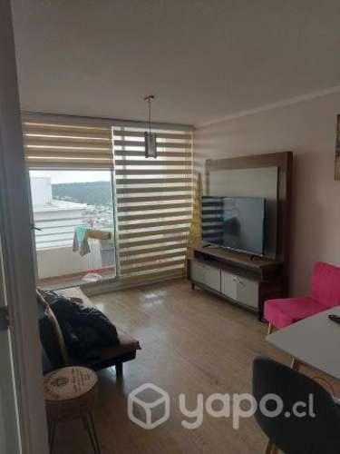 <p>Arriendo pieza estudiantes</p> image