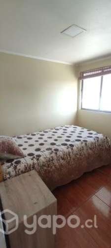 <p>Arriendo pieza estudiante o trabajador</p>